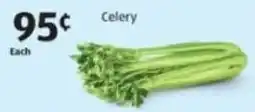 Aldi Celery offer