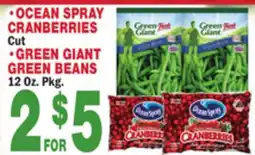 Bravo Supermarkets OCEAN SPRAY CRANBERRIES, GREEN GIANT GREEN BEANS offer