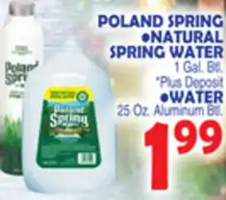 Bravo Supermarkets POLAND SPRING NATURAL SPRING WATER, WATER offer