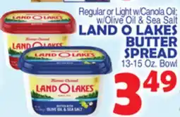Bravo Supermarkets LAND O LAKES BUTTER SPREAD offer