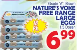 Bravo Supermarkets NATURE'S YOKE FREE RANGE LARGE EGGS offer