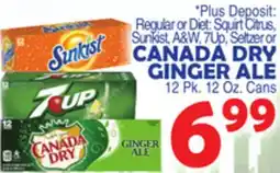 Bravo Supermarkets CANADA DRY GINGER ALE offer