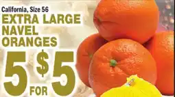 Bravo Supermarkets EXTRA LARGE NAVEL ORANGES offer