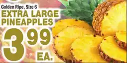 Bravo Supermarkets EXTRA LARGE PINEAPPLES offer