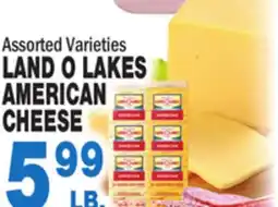 Bravo Supermarkets LAND O LAKES AMERICAN CHEESE offer