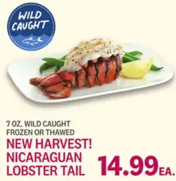 Kings Food Markets NICARAGUAN LOBSTER TAIL offer