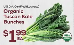 DeCicco & Sons Organic Tuscan Kale Bunches offer