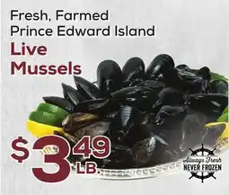 DeCicco & Sons Live Mussels offer