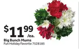 Stop&Shop Big Bunch Mums offer