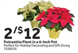 Stop&Shop Poinsettia Plant in a 6-Inch Pot offer