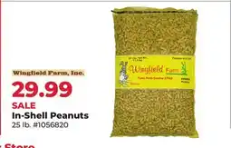 Runnings In-Shell Peanuts offer