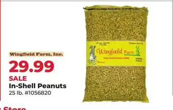 Runnings In-Shell Peanuts offer