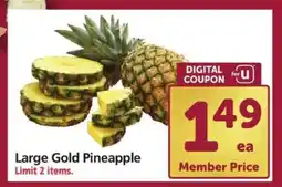 Safeway Large Gold Pineapple offer