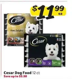 Winn Dixie Cesar Dog Food offer