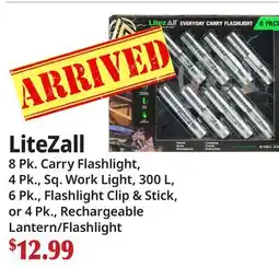 Ocean State Job Lot LiteZall offer