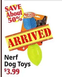 Ocean State Job Lot Nerf Dog Toys offer