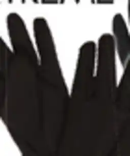 Big 5 Polar Extreme Men's Insulated Thermal Gloves offer