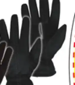 Big 5 Polar Extreme Women's Insulated Thermal Gloves offer