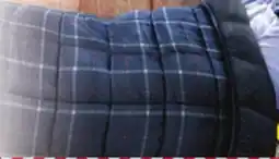 Big 5 Dream Theory 12 lb. Smooth Velvet Reversible to Sherpa Weighted Blanket offer