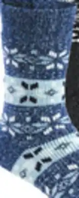 Big 5 Gold Medal Polar Extreme Women's Insulated Thermal Socks offer