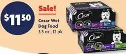 Family Dollar Cesar Wet Dog Food offer