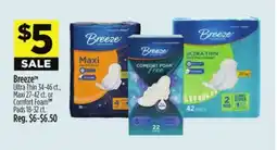 Dollar General Breeze Ultra Thin, Maxi or Comfort Foam TM Pads offer