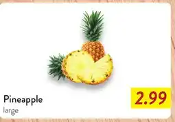 Fresh Thyme Pineapple offer