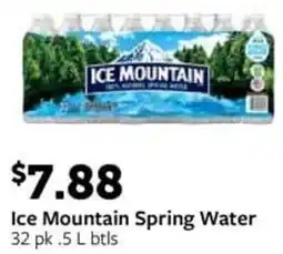 Fareway Ice Mountain Spring Water offer