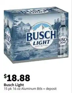 Fareway Busch Light offer