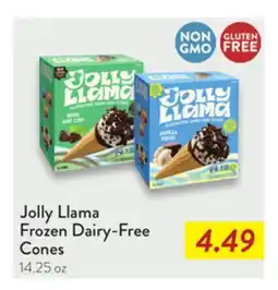 Fresh Thyme Jolly Llama Frozen Dairy-Free Cones offer
