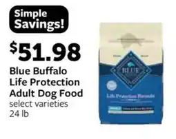 Fareway Blue buffalo life protection adult dog food offer