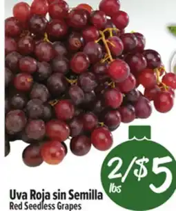 El Super Fresh Red Seedless Grapes offer