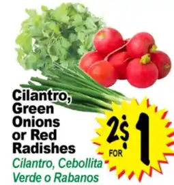 Superior Grocers Cilantro Green Onions or Red Radishes offer