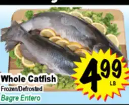 Superior Grocers Whole Catfish offer