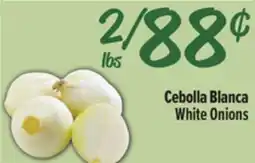 El Super White Onions offer