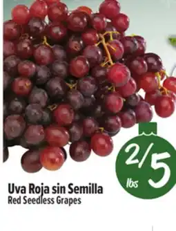 El Super Red Seedless Grapes offer