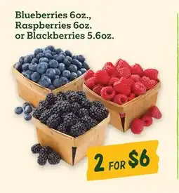 Sprouts Farmers Market Blueberries 6oz., Raspberries 6oz. or Blackberries 5.6oz offer