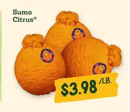 Sprouts Farmers Market Sumo Citrus offer