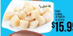 Hmart FRESH SCALLOP offer
