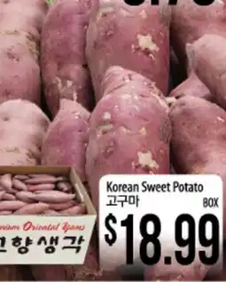 Hmart Korean Sweet Potato offer