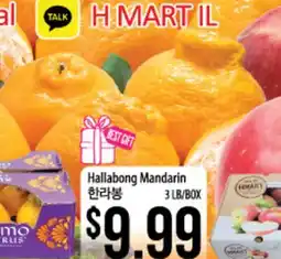 Hmart Hallabong Mandarin offer