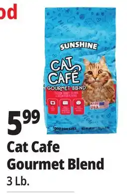 Ocean State Job Lot Cat Cafe Gourmet Blend offer