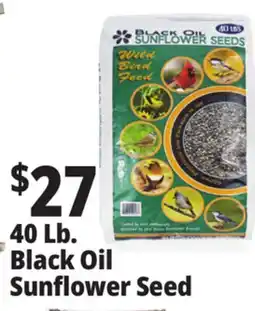 Ocean State Job Lot Black Oil Sunflower Seeds 40 lbs offer