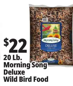 Ocean State Job Lot Morning Song Deluxe Wild Bird Food 20 lbs offer
