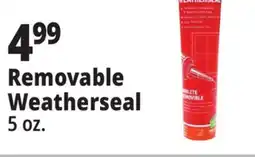 Ocean State Job Lot Removable Weatherseal offer