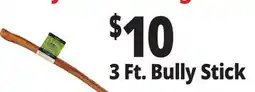 Ocean State Job Lot 3 Ft. Bully Stick offer
