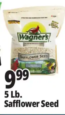 Ocean State Job Lot Wagner's Safflower Seed Deluxe Wild Bird Food offer