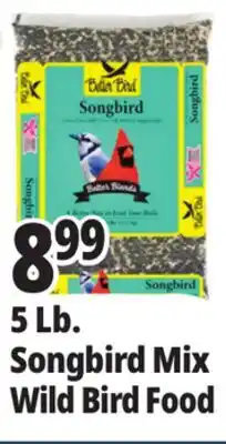 Ocean State Job Lot Better Bird Songbird Better Blends Food 5 lbs offer