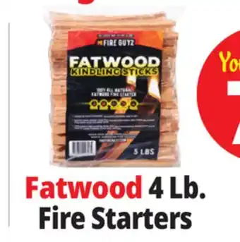 Ocean State Job Lot Fatwood Firestarter offer