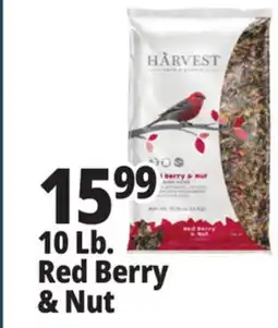 Ocean State Job Lot Harvest Seed & Supply Red Berry & Nut Wild Bird Food 10 lb offer